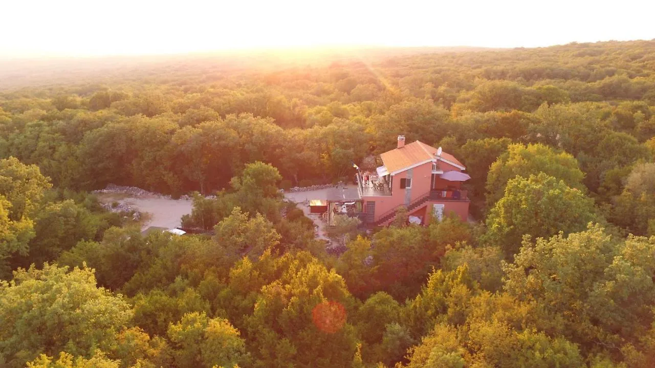 The Forest House Krk 1 0*, Kras